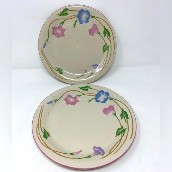 Vintage Set of 2 Sango Primavera Stoneware Dinner Plates # 8495 - Picture 1 of 7